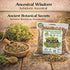 (4 oz) 100% Ruda Seca Herbal Tea Natural Rue Dried Herbs (Ruta graveolens) Traditional Botanical Infusion Wildcrafted