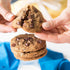 Miss Jones Baking Organic Cookie Mix, Non-GMO, Vegan-Friendly, Sea Salt Chocolate Chip, Packed with Morsels (Pack of 3)