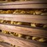 Filotea 5 Pack Tagliatelle Artisan Italian Egg Pasta Traditional Slow Dried Pasta Made with Durum Wheat Semolina, Eggs