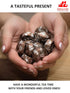 (100 (20 Jinglong Tea Factory - Puerh Tea Mini Tea Cakes Pcs) Ripe Mini Tuocha Ounce)