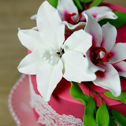 3 Count Global Sugar Art Casablanca, Easter Lily Sugar Cake Flowers, White Extra Large by Chef Alan Tetreault