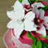3 Count Global Sugar Art Casablanca, Easter Lily Sugar Cake Flowers, White Extra Large by Chef Alan Tetreault
