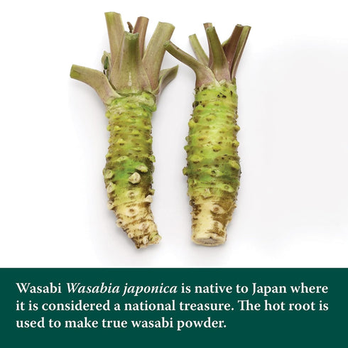 Eden Wasabi Powder with Real Japanese Horseradish, Fiery, Traditionally Made in Japan, 0.88 oz