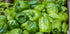 RawJoy (2 Fresh Organic Green Bell Peppers by Farms Pound)