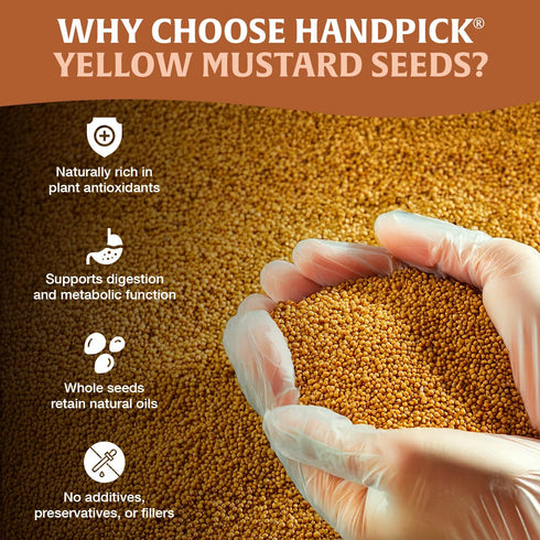 (397g/14oz) 100% Packed HANDPICK Yellow Mustard Seed Non GMO, Gluten Free, Raw, Sourced from India, For Cooking