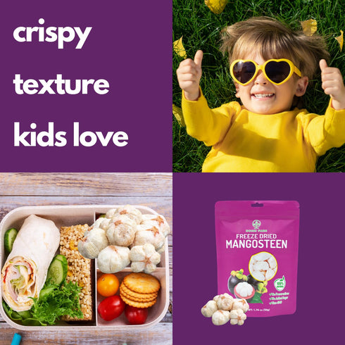 (Pack 3) NOKKI FARM Freeze Dried Mangosteen - Healthy & Exotic Tropical Fruit Snacks, No Added Sugar or Preservatives