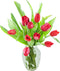 KaBloom - Bouquet of Fresh Red Tulips with Vase (Farm-Fresh) - Fresh