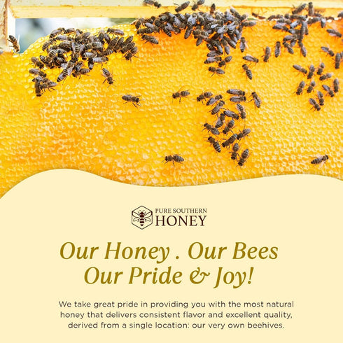100% (48 Raw & Unfiltered Wildflower Honey - American Made by Pure Southern Honey Ounce)