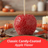 10 5 oz Concord Foods Candy Apple Kit Classic Red Apples for Family Treats, Carnivals, Fairs, and Fundraisers Includes