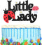 Little Lady Ladybug Theme Cake Topper - Birthday, Garden Theme Baby Shower Gender Reveal Party Decoration