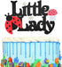 Little Lady Ladybug Theme Cake Topper - Birthday, Garden Theme Baby Shower Gender Reveal Party Decoration