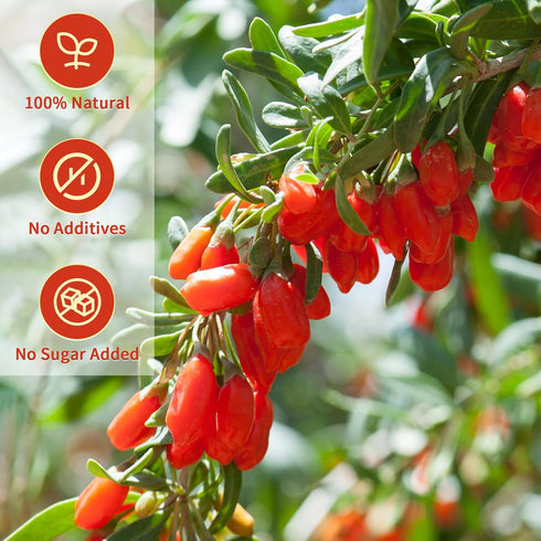 ANTAKUBU 160g(5.64OZ),100% Goji Berries Natural Wolfberry for Making Goji berry tea,Beverages,Oatmeal and Snacks,No