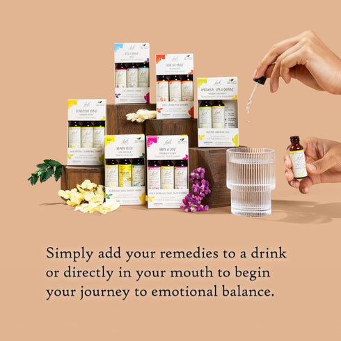 Bach Original Flower Remedies: Ready To Go Kit for Travel Stress - Non-Alcohol Formula, Vegan