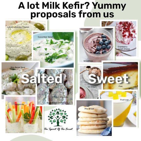 Fresh Live Milk Kefir Grains Probiotic Starter Cultures