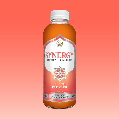 16 oz Immune SYNERGY The Real Kombucha - Peach Paradise - fl Bottle - Raw Probiotic Drink for Gut Health and Support