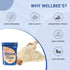 Wellbee's 2 lbs Almond Flour, Extra Fine, Gluten Free, Blanched, Low Carb, All Purpose