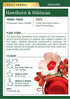 (Pack 3) 48 Traditional Medicinals Organic Hawthorn & Hibiscus Herbal Tea, Promotes Heart Health, of Tea Bags Total