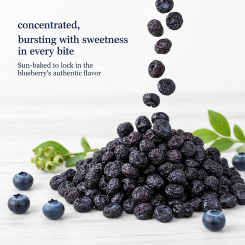 DYBOEDYO 15.87oz(450 Dried Blueberries | g) | Dehydrated Blueberries | Sweet Dried Fruits, Fruit Snacks |Handpicked