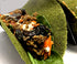 Raw Wraps - Gluten Free, Paleo, Keto Friendly Tortilla Wraps, 6 Tacos per Pack, Spinach Flavor