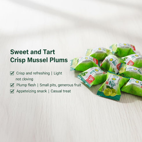 SODGHYTR 308g/10.8oz, Crisp Green Plums Sweet and Sour Dried Fruit Preserves-Qingkou Plum Infused with Tart Flavor
