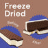 3 OZ) G-BOX Freeze Dried Ice Cream Sandwiches (Vanilla, | Freeze Dried Camping Food, NASA Space Dessert, Halloween