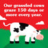 Horizon Organic Whole Milk - Grassfed - Half Gallon