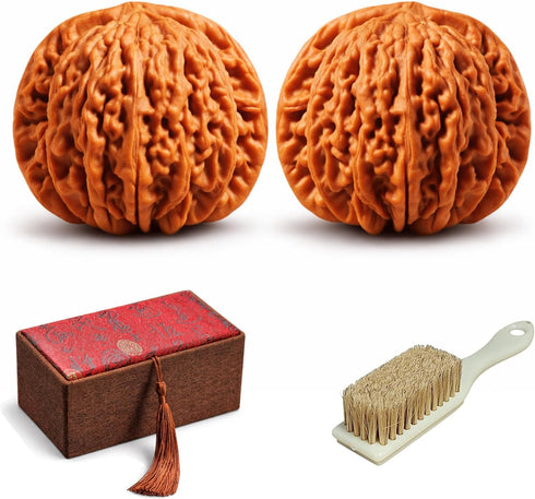 ENFGDT Natural Chinese Wenwan Walnut, 1.7in Chinese Walnuts Fidget, Premium Wenwan Walnut Care