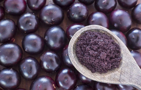 8 Food to Live Organic Freeze-Dried Acai Berry Powder, Ounces - Non-GMO, Kosher, Raw, Vegan, Unsweetened, Unsulfured