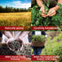 1.8 oz 50g Cinquefoil Herb Dried Five Finger Grass Herb Potentilla Palustris Tea (Comarum Palustre L.) - Sabelnik