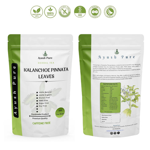 Generic 100 Tea Bag Kalanchoe Pinnata Powder Healthy Pure Leaves Powder Tea Bag Grade A