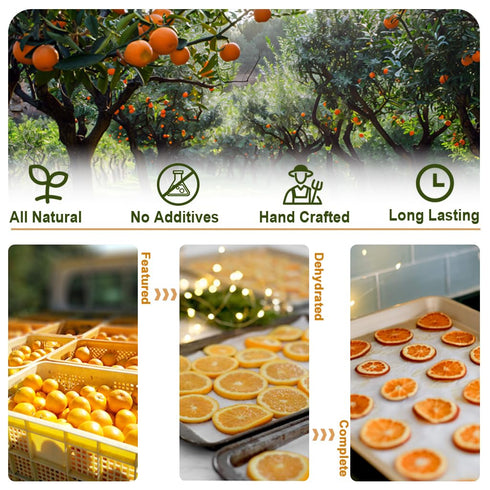 Fraunitsh 17.63oz/500g Dried Dehydrated Orange Slices | No Sugar & No Additives | Dried Oranges for Cocktails Garnish