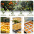 Fraunitsh 17.63oz/500g Dried Dehydrated Orange Slices | No Sugar & No Additives | Dried Oranges for Cocktails Garnish