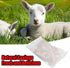 Xcello 90m Salted Sheep Sausage Casing, Length for Delicious Homemade Sausages in Home Kitchen