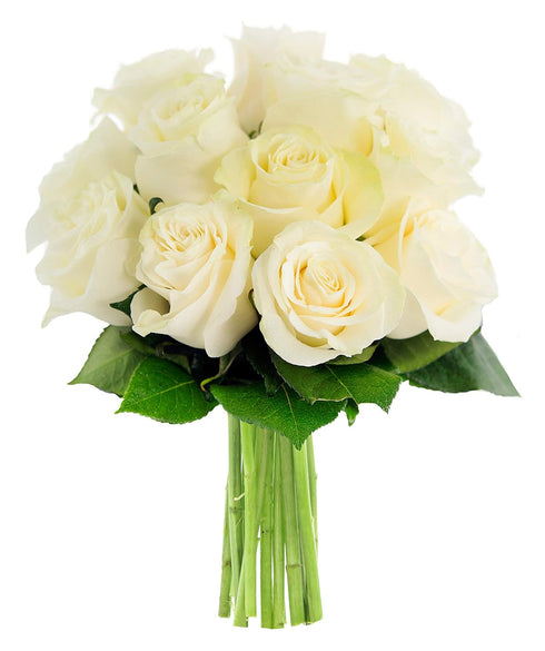 KaBloom - Bouquet of 12 Fresh White Roses (Farm-Fresh, Long-Stem) - Fresh