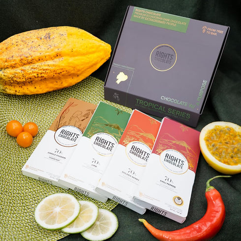 70% Pack (4 60g) Ecuadorian Dark Chocolate Tropical Variety Exotic Fruit Flavors x Fine Aroma Cacao