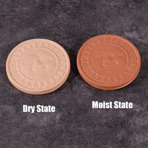 2 Pack HOT SEAL Terracotta Brown Sugar Saver, Sun Smiles Brown Sugar Keeper Disc for Maintain Food Moisture in Storage