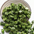 UpBots 3.88oz. Frozen Dried spinach dried spinach Emergency and survival food, lightweight camping meal