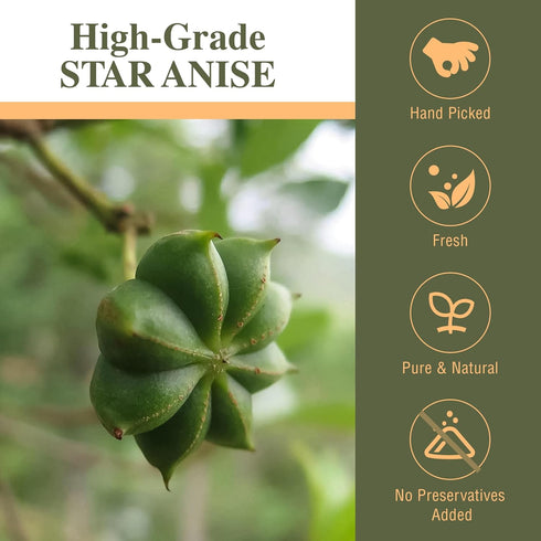 Kah's Journey Star Anise - Whole Star Anise Pods, 16oz, Chinese Spice for Cooking, Baking, or Brewing Tea