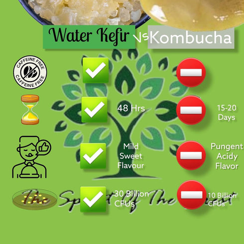 Dehydrated Starter Water Kefir Grains Fermented Probiotic Drink Powder for Stronger Gut Health | Heirloom Starter Makes
