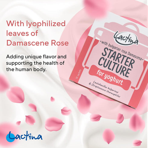 10 Bulgarian Yogurt Starter Culture Natural Probiotic Yogurt Culture Starter Homemade Yoghurt Starter Liters