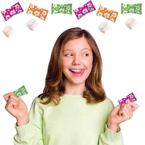 The Dreidel Company Luau Hibiscus Buttermints, Mint Candies, After Dinner Mints, Fat-Free, Individually Wrapped (55