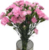 19 Stems Pink Mini Carnations Fresh Cut Flower Bouquet Gifts for Birthday