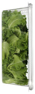 Little Leaf Farms 4 Crispy Baby Locally grown, Green Leaf Lettuce, Ounce