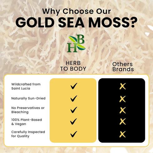 Herb To Body Irish Sea Moss, 4oz Gold, 100% Wildcrafted Raw and Dried Vegan Superfood