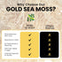 Herb To Body Irish Sea Moss, 4oz Gold, 100% Wildcrafted Raw and Dried Vegan Superfood
