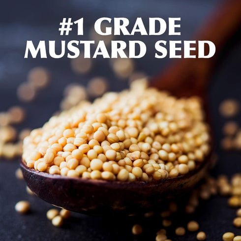 Gulden's 2/24 oz (pack 2) spicy brown mustard