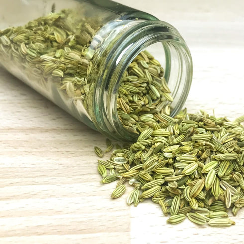GranAroma Fennel Seeds, 15.2 oz - Whole Seeds for Cooking & Baking, Light Flavor