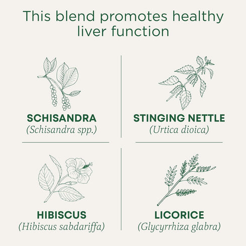 16 Traditional Medicinals Tea, Organic Everyday Detox Schisandra Berry, Supports Healthy Liver Function, Detox, Tea