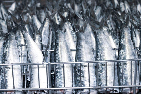 Porthos 3 125 Sardines in olive oil tins x g, / Portugal