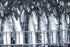Porthos 3 125 Sardines in olive oil tins x g, / Portugal